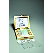 BIOLOGY PREPARED SLIDE SET, 13 SLIDES