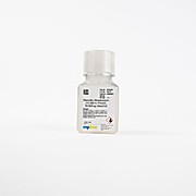 Gentamicin sulfate, 50 mg/mL, 10 mL