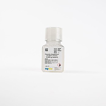 Gentamicin sulfate, 50 mg/mL, 10 mL