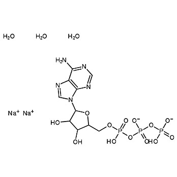 Adenosine-5'-triphosphate