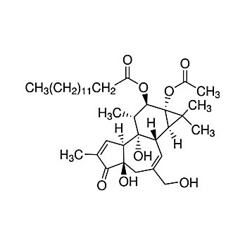 Phorbol-12-Myristate-13-Acetate, 1 Mg