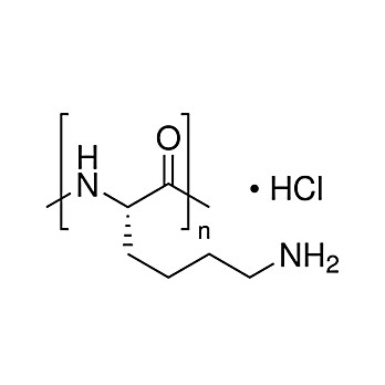 POLY-L-LYSINE HYDROCHLORIDE, 500 mg 