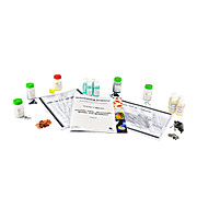 Kit Periodic Table - Nonmetals, Metals, And Metalloids