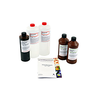 Kit Grams Stain Set, Large 