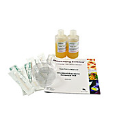 Kit Student Bacteria