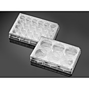 Corning® BioCoat™ Poly-L-Ornithine/Laminin Plates