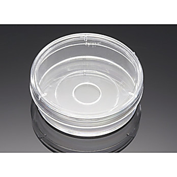Corning® BioCoat® Poly-D-Lysine Coverslip and Dish