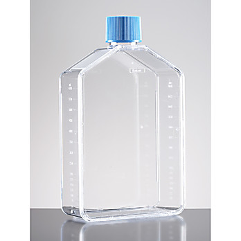 Corning® BioCoat™ Fibronectin-coated Flasks