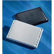 Corning® 10µL 1536 Well White Round Bottom Polystyrene Not Treated Microplate, 10 per Bag, without Lid