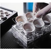 Netwell™ 12 Well Carrier Kit for 15mm Inserts, Nonsterile