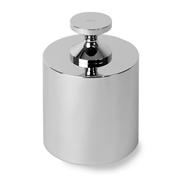 Troemner Reference Weight