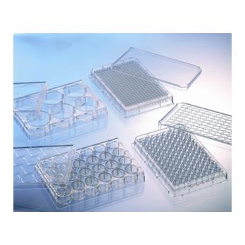 96 Well Poly-L-Lysine CELLCOAT® Plates