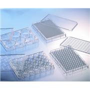 384 Well Poly-D-Lysine CELLCOAT® Plates