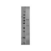 p39 Control Protein, 100µg