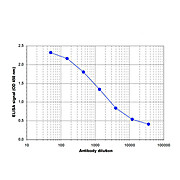 Anti-Setd1a (RABBIT) Antibody, 100µL, Liquid (sterile filtered)