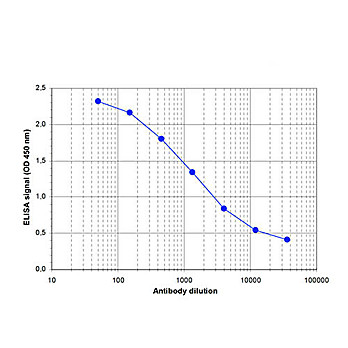 Anti-Setd1a (RABBIT) Antibody, 100µL, Liquid (sterile filtered)