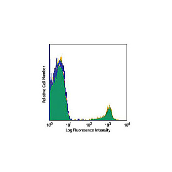 Anti-CD19 (MOUSE) Phycoerythrin Conjugated Monoclonal Antibody, 500µL, Liquid (sterile filtered)
