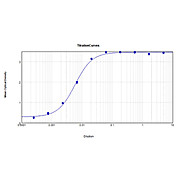 Anti-KLH (MOUSE) Monoclonal Antibody, 500µg, Liquid (sterile filtered)