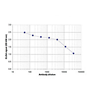 Anti-ZBTB38 (RABBIT) Antibody, 100µL, Liquid (sterile filtered)