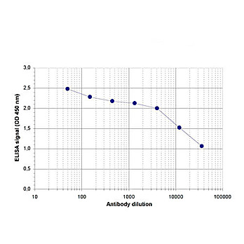 Anti-ZBTB38 (RABBIT) Antibody, 100µL, Liquid (sterile filtered)