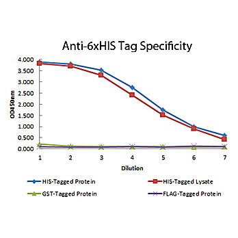 Anti-6X HIS EPITOPE TAG (MOUSE) Monoclonal Antibody DyLight™ 405 Conjugated, 100µg, Lyophilized