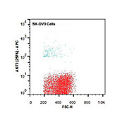 AKT3 APC Antibody [25F6.F6.D8] 50µg