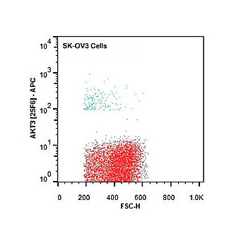 AKT3 APC Antibody [25F6.F6.D8] 50µg