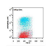 AKT1 APC Antibody [5E5.F5.D7] 50µg