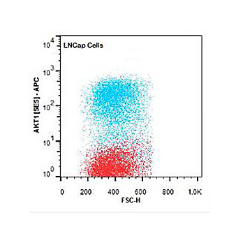 AKT1 APC Antibody [5E5.F5.D7] 50µg
