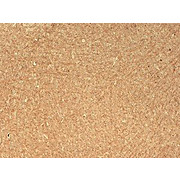 Anti-CASPR (MOUSE) Monoclonal Antibody, 100µg, Liquid (sterile filtered)