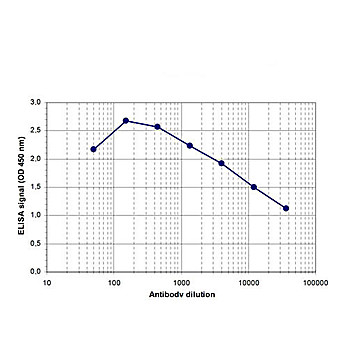 Anti-PAPOLA (RABBIT) Antibody, 100µL, Liquid (sterile filtered)