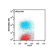 AKT1 [14E5.A2.B2.H9] APC Antibody 50µg
