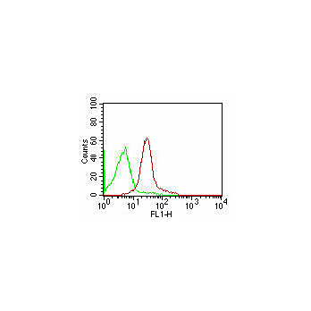 Anti-CD47 (MOUSE) Monoclonal Antibody Fluorescein Conjugated, 100µL, Liquid (sterile filtered)