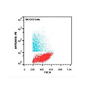 AKT3 [9A5.H9.G7] PE Antibody 50µg