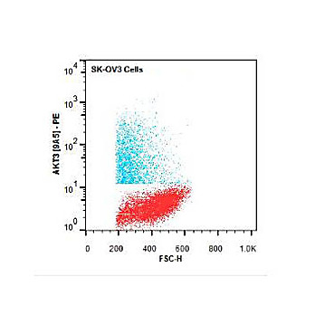 AKT3 [9A5.H9.G7] PE Antibody 50µg
