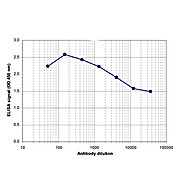 Anti-ZMYND8 (RABBIT) Antibody, 100µL, Liquid (sterile filtered)