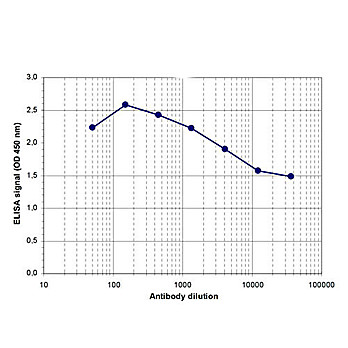 Anti-ZMYND8 (RABBIT) Antibody, 100µL, Liquid (sterile filtered)