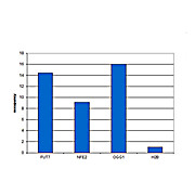 Anti-AML1-ETO (RABBBIT) Antibody, 100µL, Liquid (sterile filtered)