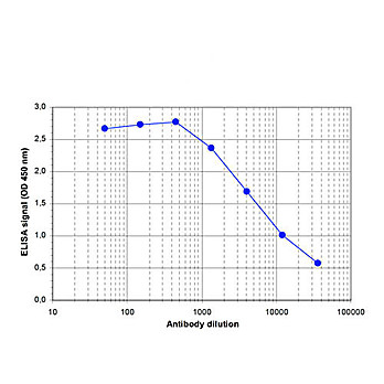 Anti-Jarid1c (RABBIT) Antibody, 100µL, Liquid (sterile filtered)