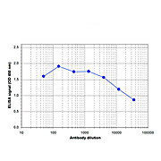 Anti-TASP1 (RABBIT) Antibody, 100µL, Liquid (sterile filtered)