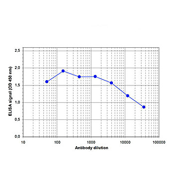 Anti-TASP1 (RABBIT) Antibody, 100µL, Liquid (sterile filtered)