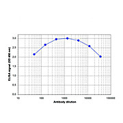 Anti-ZBTB4 (RABBIT) Antibody, 100µL, Liquid (sterile filtered)