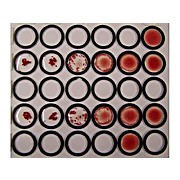 Anti-HUMAN Red Blood Cell (RBC) (RABBIT) Antibody, 2mL, Lyophilized
