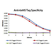 Anti-6X HIS EPITOPE TAG (MOUSE) Monoclonal Antibody DyLight™ 800 Conjugated, 100µg, Lyophilized