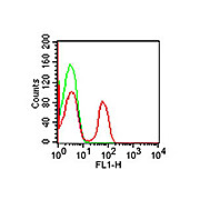 Anti-CD4 (MOUSE) Monoclonal Antibody Fluorescein Conjugated, 500µL, Liquid (sterile filtered)