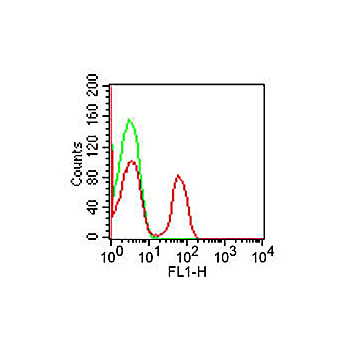 Anti-CD4 (MOUSE) Monoclonal Antibody Fluorescein Conjugated, 500µL, Liquid (sterile filtered)