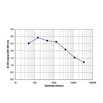 Anti-SOX4 (RABBIT) Antibody, 100µL, Liquid (sterile filtered)