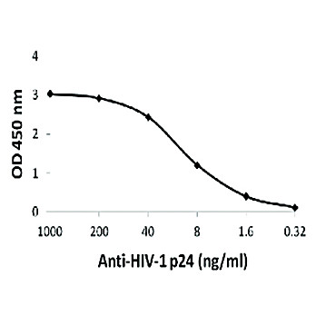 HIV-1 p24 Antibody [8G9] 100µg