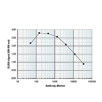 Anti-KDM1B (RABBIT) Antibody, 100µL, Liquid (sterile filtered)