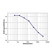 Anti-Brd2 (RABBIT) Antibody, 100µL, Liquid (sterile filtered)